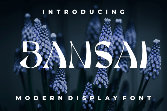 Bansai Font for Trendy Handmade Designs