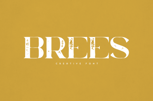 Brees Font for Elegant Web Design and Branding
