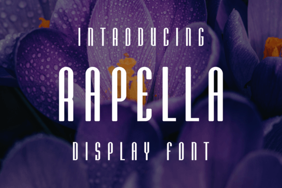 Rapella: A Unique Display Font for Modern Web Design